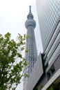Japan tower and commercial building with sky
