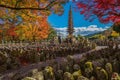 Japan tower pagoda, Kyoto japan in adashino nenbutsu-ji temple