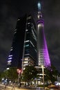 Japan tower, residential houses and pedestrian zebra crossing