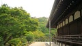 Japan traditional tample, zen garden, backyard footpath, green plants