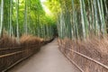 Japan travel destination landmark, Arashiyama Bamboo Forest in Kyoto Royalty Free Stock Photo