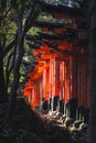 Japan travel landmark in Kyoto Red gate in temple