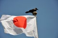 Japan.travel to Japan.Osaka.flag of Japan Royalty Free Stock Photo