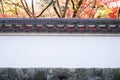 Japan Wall with old tiled roof with maple tree , red maple leaf wallpaper. Royalty Free Stock Photo