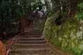 Japan zen path in a garden, park in autumn season and maple tree Royalty Free Stock Photo