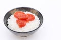 Japanes food, Karashi mentaiko on rice