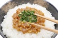 Japanes food, Moromi miso on rice