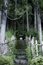 Japanese altar in a mysterious forest