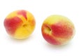 Japanese apricot, Ume Royalty Free Stock Photo
