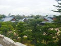 A japanese arboretum, botanical garden with green trees Royalty Free Stock Photo