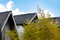 Japanese architectural style brick roof