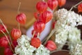 The Japanese art of ikebana dry red flowers Royalty Free Stock Photo