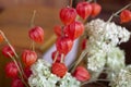 The Japanese art of ikebana dry red flowers Royalty Free Stock Photo