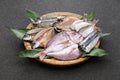 Japanese assorted dried fish Royalty Free Stock Photo