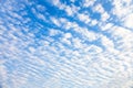 Japanese autumn cloud, scale cloud