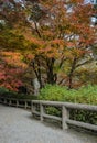 Japanese autumn garden in Tenryuji temple during autumn season i