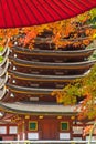 Japanese Autumn Nagoya, Japan Travel