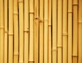 Japanese bamboo background