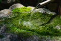 A Japanese Bamboo Water Fountain Shishi-Odoshi in Zen Garden Royalty Free Stock Photo