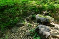 A Japanese Bamboo Water Fountain Shishi-Odoshi in Zen Garden Royalty Free Stock Photo