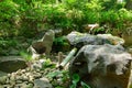 A Japanese Bamboo Water Fountain Shishi-Odoshi in Zen Garden Royalty Free Stock Photo