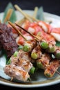 Japanese barbecue skewers assorted plate Royalty Free Stock Photo