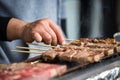 Japanese barbecue skewers Royalty Free Stock Photo