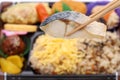 Japanese bento lunch with grilled fish Royalty Free Stock Photo