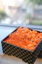 Japanese Bento Lunch Salmon sashimi Royalty Free Stock Photo