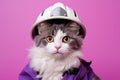 Japanese Bobtail Cat Dressed As A Fireman On Lavender Color Background Royalty Free Stock Photo