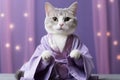 Japanese Bobtail Cat Dressed As A Wizard On Lavender Color Background