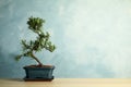 Japanese bonsai plant on table, space for text. Creating zen atmosphere at home Royalty Free Stock Photo