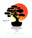 Japanese bonsai tree. Black logo, icon of a tree in a pot on a background of the sun. Bonsai silhouette vector Royalty Free Stock Photo