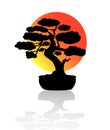 Japanese bonsai tree. Black logo, icon of a tree in a pot on a background of the sun. Bonsai silhouette vector Royalty Free Stock Photo