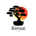 Japanese bonsai tree. Black logo, icon of a tree in a pot on a background of the sun. Bonsai silhouette vector Royalty Free Stock Photo