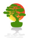 Japanese bonsai tree. Green logo, icon of a tree in a pot on a background of the sun. Bonsai silhouette vector Royalty Free Stock Photo