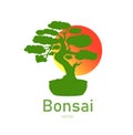 Japanese bonsai tree. Green logo, icon of a tree in a pot on a background of the sun. Bonsai silhouette vector Royalty Free Stock Photo