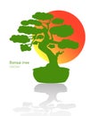 Japanese bonsai tree. Green logo, icon of a tree in a pot on a background of the sun. Bonsai silhouette vector Royalty Free Stock Photo