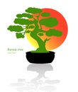 Japanese bonsai tree. Green logo, icon of a tree in a pot on a background of the sun. Bonsai silhouette vector Royalty Free Stock Photo