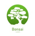 Japanese bonsai tree. Green round logo, tree icon. Bonsai silhouette vector illustration on isolated white background Royalty Free Stock Photo