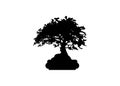 Japanese bonsai tree logo plant silhouette icons on white background, Black silhouette of bonsai. Detailed image. Vector isolated Royalty Free Stock Photo