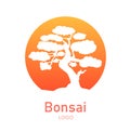 Japanese bonsai tree. Orange round logo, tree icon. Bonsai silhouette vector illustration on isolated white background Royalty Free Stock Photo