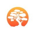 Japanese bonsai tree. Orange round logo, tree icon. Bonsai silhouette vector illustration on isolated white background Royalty Free Stock Photo