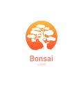 Japanese bonsai tree. Orange round logo, tree icon. Bonsai silhouette vector illustration on isolated white background Royalty Free Stock Photo