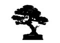 Japanese bonsai tree , plant silhouette icons on white background, Black silhouette of bonsai. Detailed image. Vector isolated Royalty Free Stock Photo