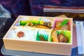 Japanese box lunch Royalty Free Stock Photo