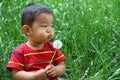 Japanese boy blowing dandelion seeds Royalty Free Stock Photo