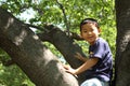 Japanese boy climbing the tree Royalty Free Stock Photo