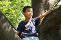 Japanese boy climbing the tree Royalty Free Stock Photo