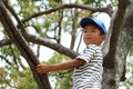 Japanese boy climbing the tree Royalty Free Stock Photo